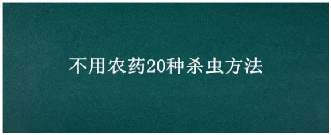 不用农药20种杀虫方法 | 农业答疑