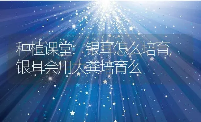 康熙最爱的女人,如果康熙最爱的女人还活着，康熙还会废除胤礽的太子之位吗 | 养殖常见问题