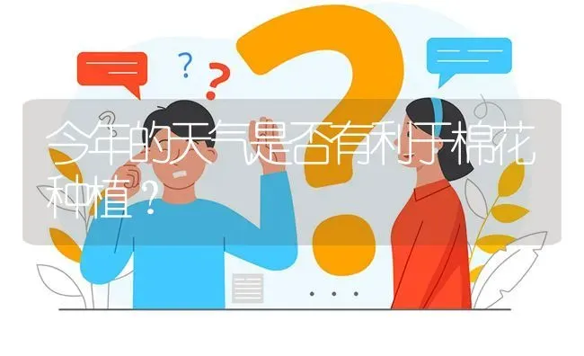 今年的天气是否有利于棉花种植? | 养殖问题解答