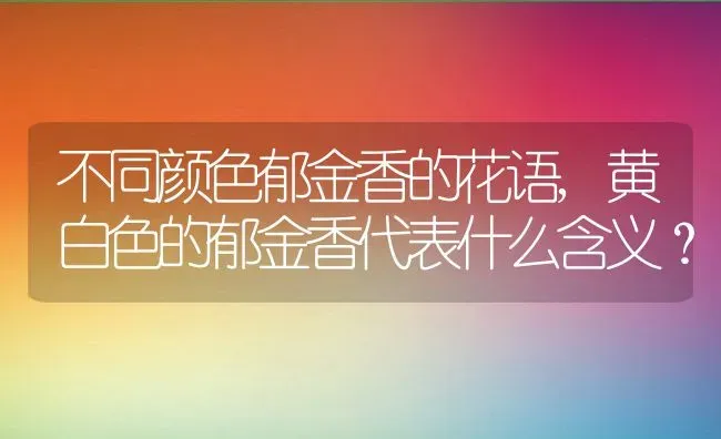 不同颜色郁金香的花语,黄白色的郁金香代表什么含义？ | 养殖常见问题