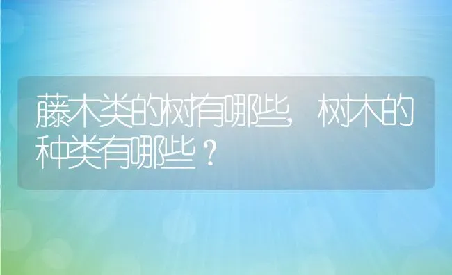 藤木类的树有哪些,树木的种类有哪些？ | 养殖常见问题