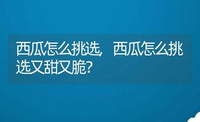 西瓜怎么挑选,西瓜怎么挑选又甜又脆？ | 养殖常见问题