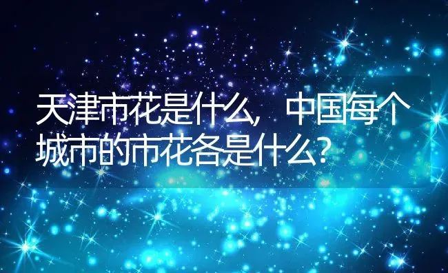 天津市花是什么,中国每个城市的市花各是什么？ | 养殖常见问题