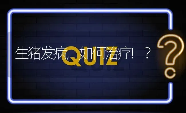 生猪发病,如何治疗!? | 养殖问题解答