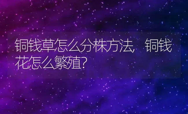 铜钱草怎么分株方法,铜钱花怎么繁殖？ | 养殖常见问题