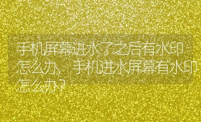 手机屏幕进水了之后有水印怎么办,手机进水屏幕有水印怎么办？ | 养殖常见问题