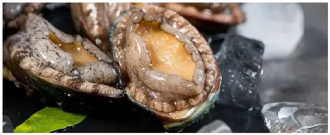 鲍鱼存放用不用清内脏 | 农业问题
