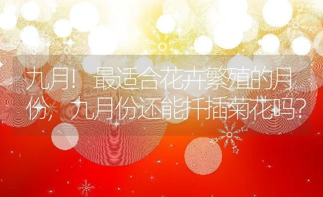 九月!最适合花卉繁殖的月份,九月份还能扦插菊花吗？ | 养殖常见问题