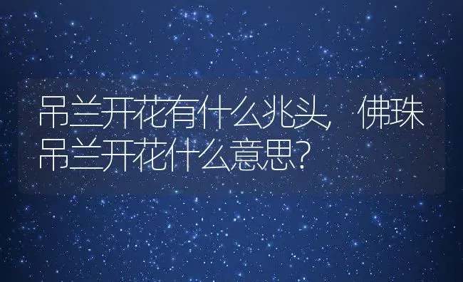 吊兰开花有什么兆头,佛珠吊兰开花什么意思？ | 养殖常见问题