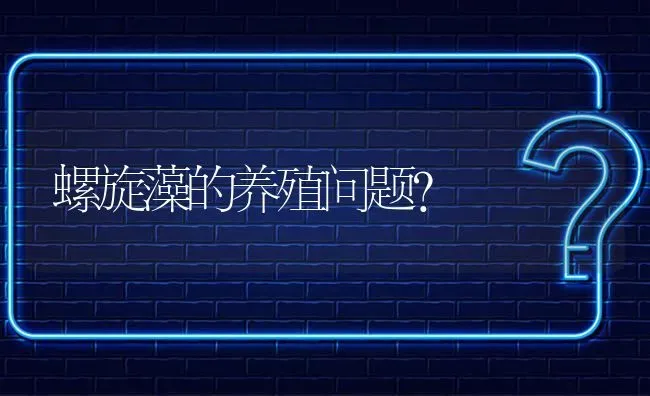 螺旋藻的养殖问题? | 养殖问题解答