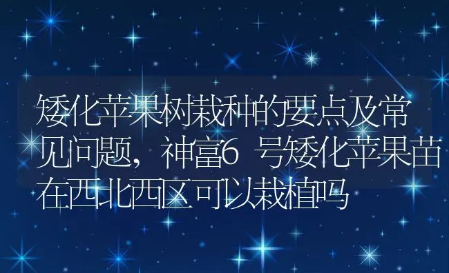 矮化苹果树栽种的要点及常见问题,神富6号矮化苹果苗在西北西区可以栽植吗 | 养殖常见问题