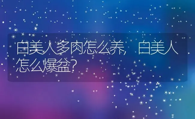 白美人多肉怎么养,白美人怎么爆盆？ | 养殖常见问题