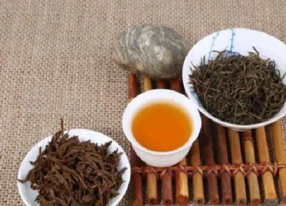 植物常识问题|金骏眉属于什么茶系  喝了金骏眉茶叶的功效好处