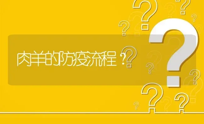 肉羊的防疫流程? | 养殖问题解答