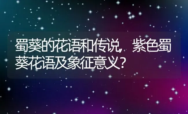 蜀葵的花语和传说,紫色蜀葵花语及象征意义？ | 养殖常见问题