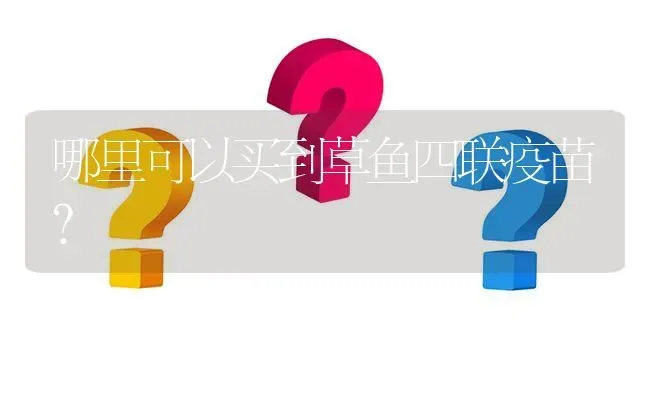 哪里可以买到草鱼四联疫苗? | 养殖问题解答