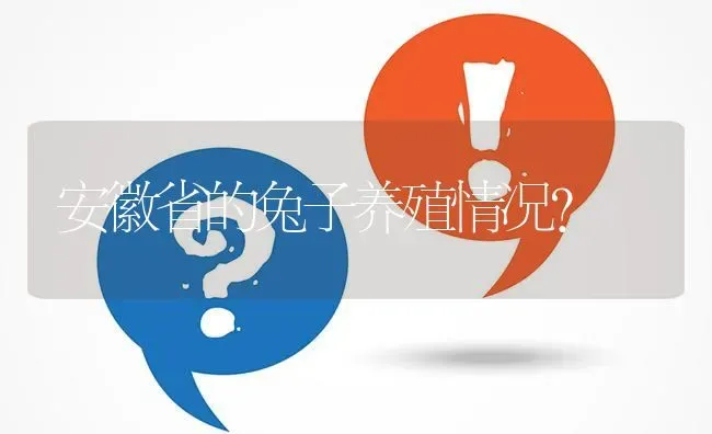 安徽省的兔子养殖情况? | 养殖问题解答