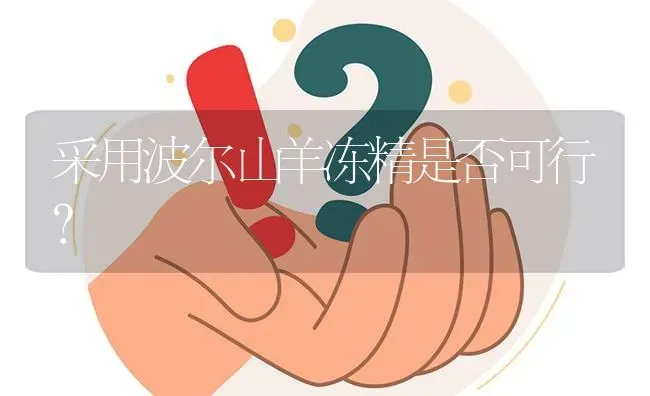 采用波尔山羊冻精是否可行? | 养殖问题解答
