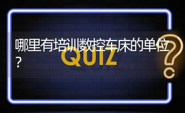 哪里有培训数控车床的单位? | 养殖问题解答