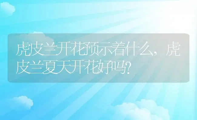 虎皮兰开花预示着什么,虎皮兰夏天开花好吗？ | 养殖常见问题