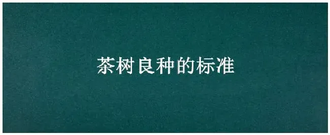 茶树良种的标准 | 农业答疑