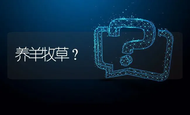 养羊牧草? | 养殖问题解答