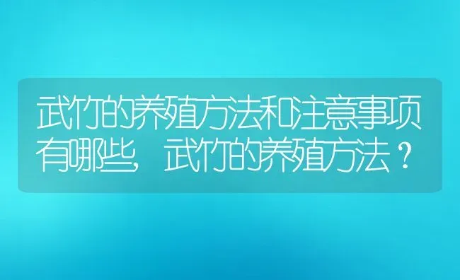 武竹的养殖方法和注意事项有哪些,武竹的养殖方法？ | 养殖常见问题