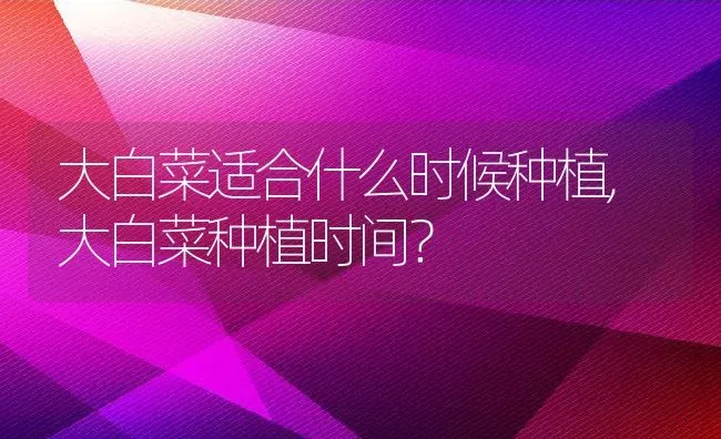 大白菜适合什么时候种植,大白菜种植时间？ | 养殖常见问题