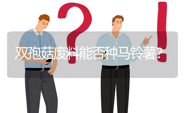 双孢菇废料能否种马铃薯? | 养殖问题解答