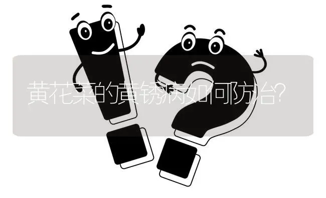 黄花菜的黄锈病如何防治? | 养殖问题解答