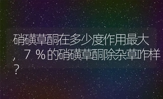 硝磺草酮在多少度作用最大,7%的硝磺草酮除杂草咋样？ | 养殖常见问题