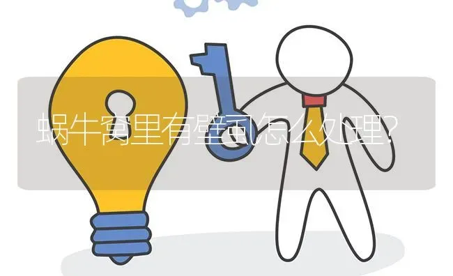 蜗牛窝里有壁虱怎么处理? | 养殖问题解答
