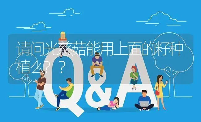 请问光慈菇能用上面的籽种植么?? | 养殖问题解答