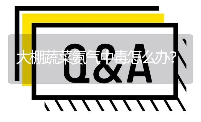 大棚蔬菜氨气中毒怎么办? | 养殖问题解答