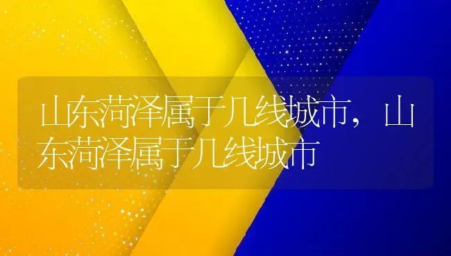 山东菏泽属于几线城市,山东菏泽属于几线城市 | 养殖常见问题