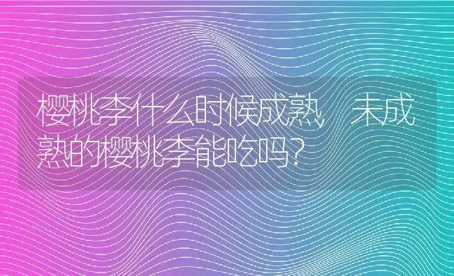 樱桃李什么时候成熟,未成熟的樱桃李能吃吗？ | 养殖常见问题