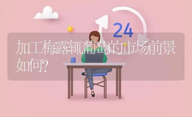 加工梅露辄葡萄的市场前景如何? | 养殖问题解答