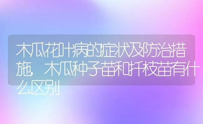 木瓜花叶病的症状及防治措施,木瓜种子苗和扦枝苗有什么区别 | 养殖常见问题