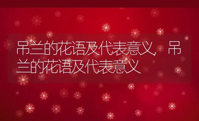 吊兰的花语及代表意义,吊兰的花语及代表意义 | 养殖常见问题