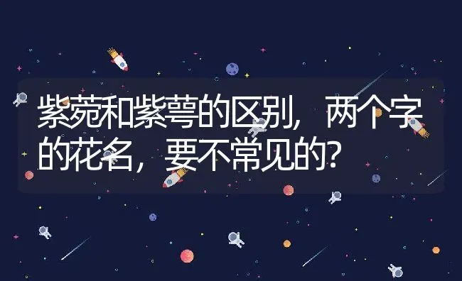 紫菀和紫萼的区别,两个字的花名，要不常见的？ | 养殖常见问题