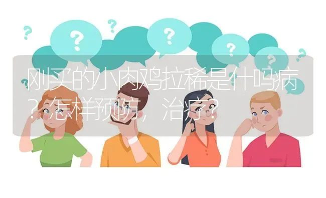 刚买的小肉鸡拉稀是什吗病?怎样预防,治疗? | 养殖问题解答