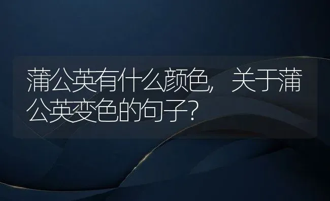 蒲公英有什么颜色,关于蒲公英变色的句子？ | 养殖常见问题