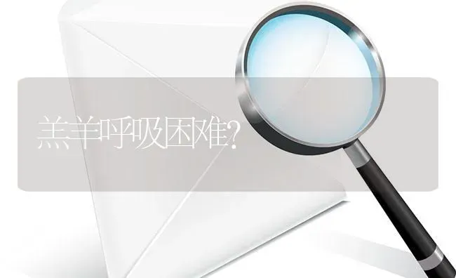 羔羊呼吸困难? | 养殖问题解答