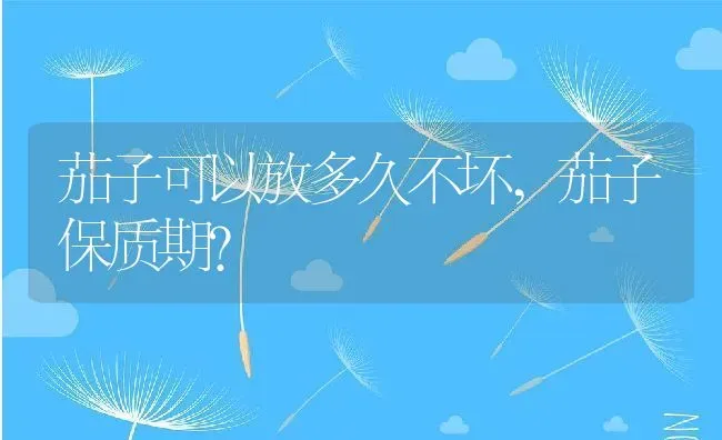 茄子可以放多久不坏,茄子保质期？ | 养殖常见问题