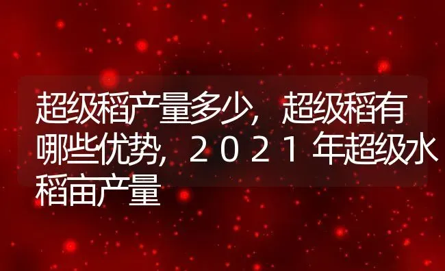 超级稻产量多少,超级稻有哪些优势,2021年超级水稻亩产量 | 养殖常见问题