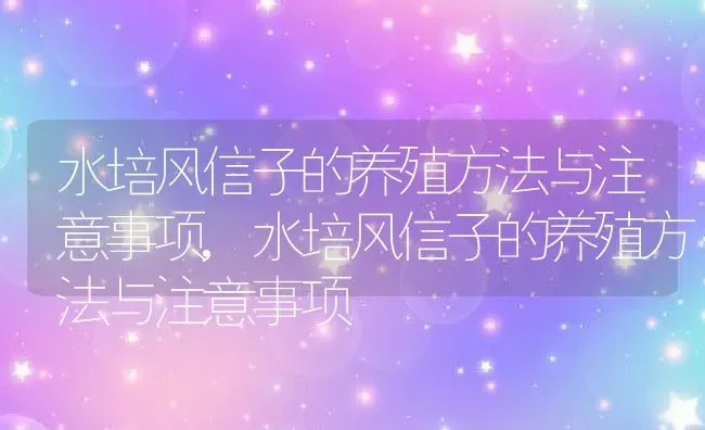 水培风信子的养殖方法与注意事项,水培风信子的养殖方法与注意事项 | 养殖常见问题