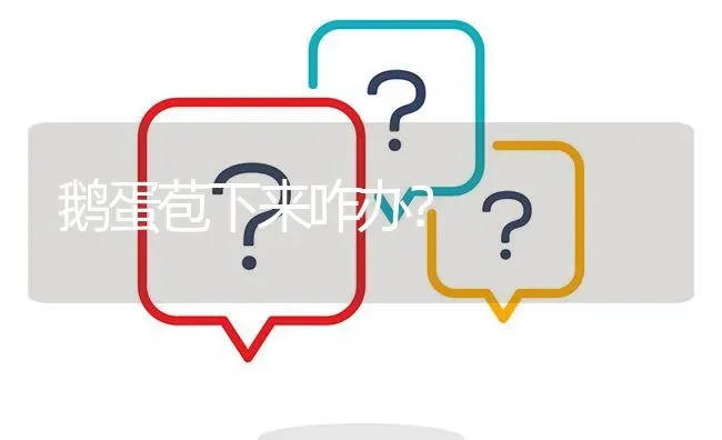 鹅蛋苞下来咋办? | 养殖问题解答