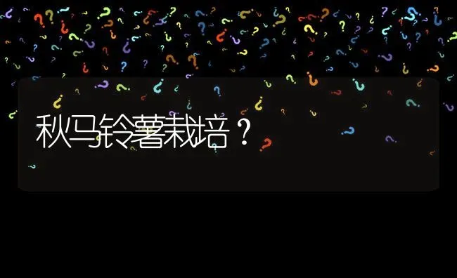秋马铃薯栽培? | 养殖问题解答