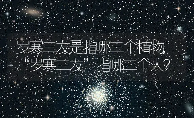 岁寒三友是指哪三个植物,“岁寒三友”指哪三个人？ | 养殖常见问题