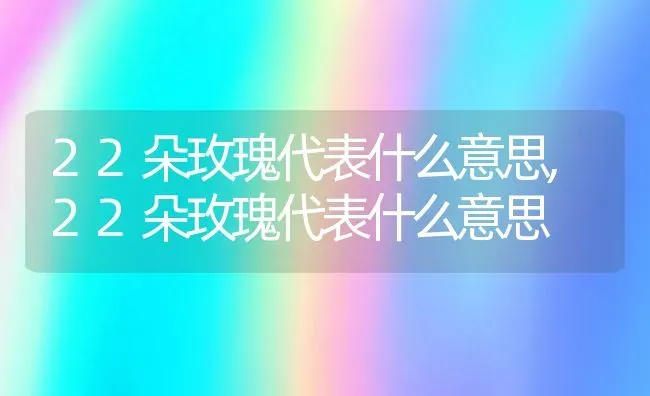 22朵玫瑰代表什么意思,22朵玫瑰代表什么意思 | 养殖常见问题